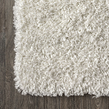 Mercer Shag Plush Area Rug